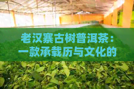 老汉寨古树普洱茶：一款承载历与文化的珍品之选