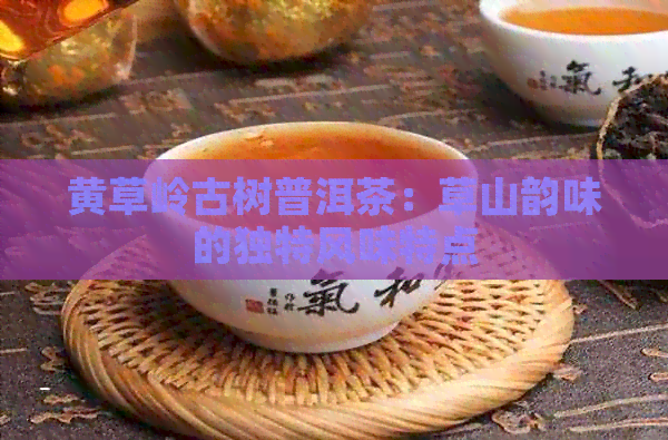 黄草岭古树普洱茶：草山韵味的独特风味特点