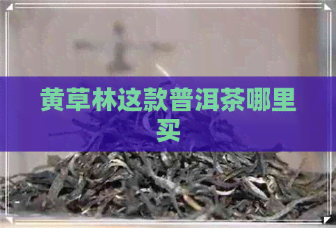 黄草林这款普洱茶哪里买