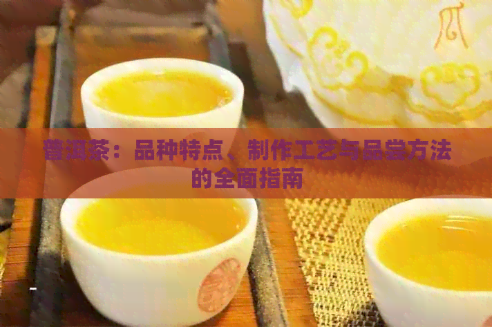 普洱茶：品种特点、制作工艺与品尝方法的全面指南