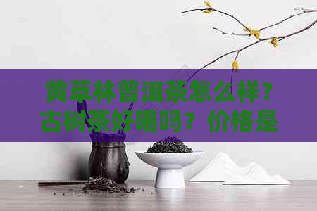 黄草林普洱茶怎么样？古树茶好喝吗？价格是多少？