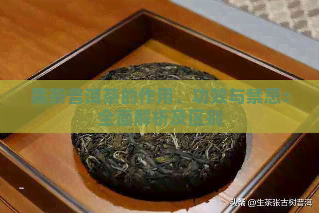 黑茶普洱茶的作用、功效与禁忌：全面解析及区别