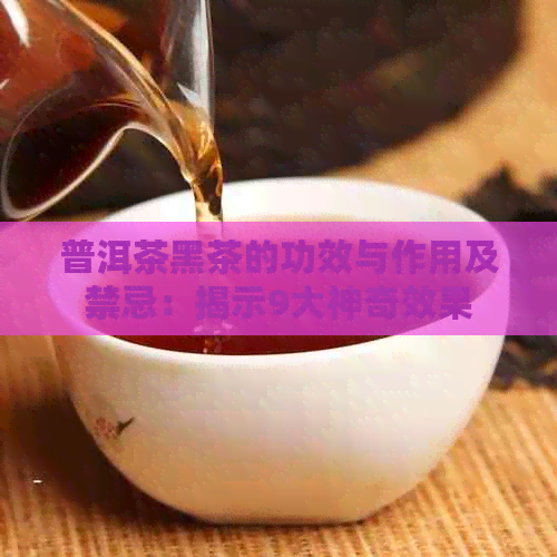 普洱茶黑茶的功效与作用及禁忌：揭示9大神奇效果