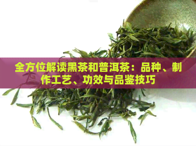 全方位解读黑茶和普洱茶：品种、制作工艺、功效与品鉴技巧