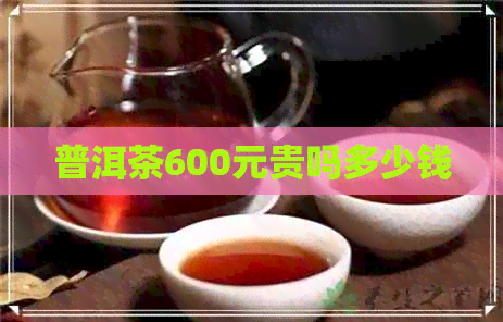 普洱茶600元贵吗多少钱