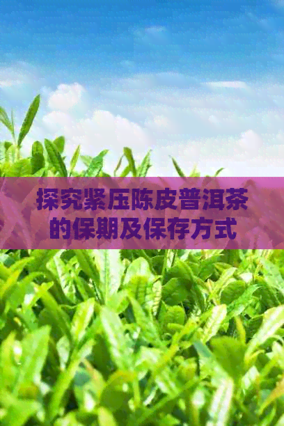 探究紧压陈皮普洱茶的保期及保存方式