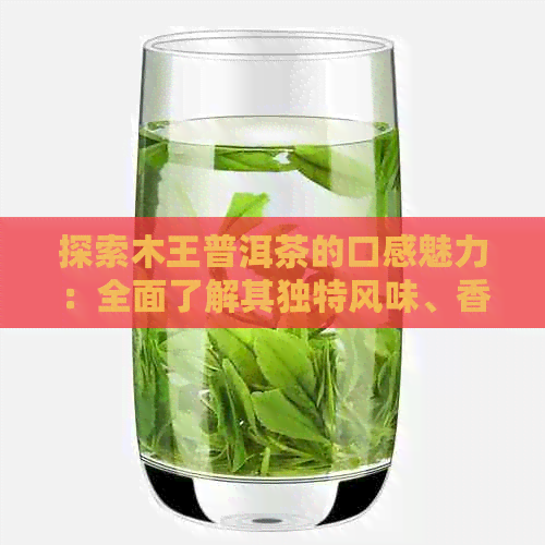 探索木王普洱茶的口感魅力：全面了解其独特风味、香气与回味