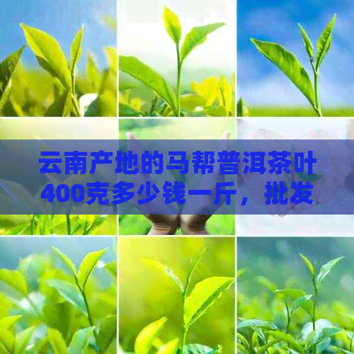 云南产地的马帮普洱茶叶400克多少钱一斤，批发价格优促销！