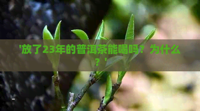 '放了23年的普洱茶能喝吗？为什么？'