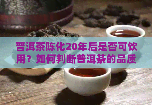 普洱茶陈化20年后是否可饮用？如何判断普洱茶的品质和陈化程度？