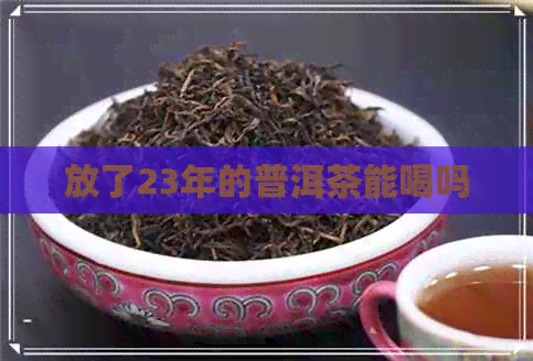 放了23年的普洱茶能喝吗