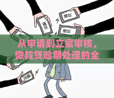 从申请到立案审核，微粒贷逾期处理的全面时间线解析