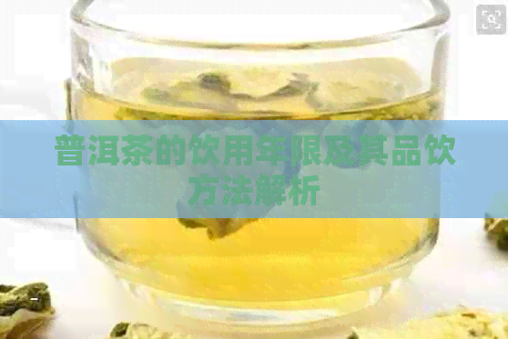 普洱茶的饮用年限及其品饮方法解析