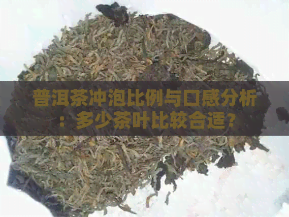 普洱茶冲泡比例与口感分析：多少茶叶比较合适？