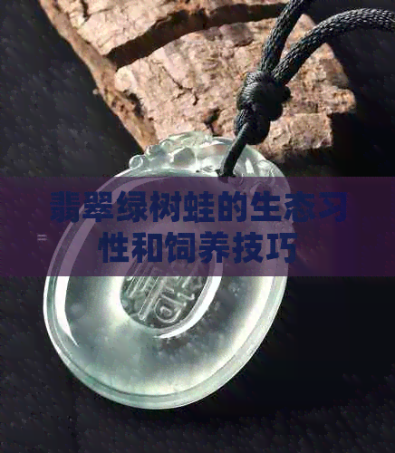 翡翠绿树蛙的生态习性和饲养技巧