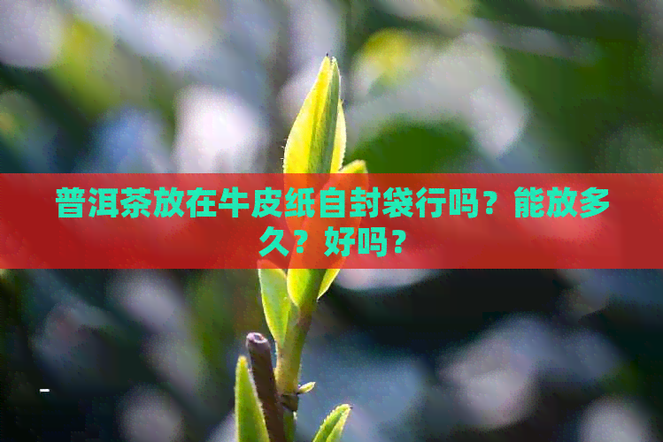 普洱茶放在牛皮纸自封袋行吗？能放多久？好吗？