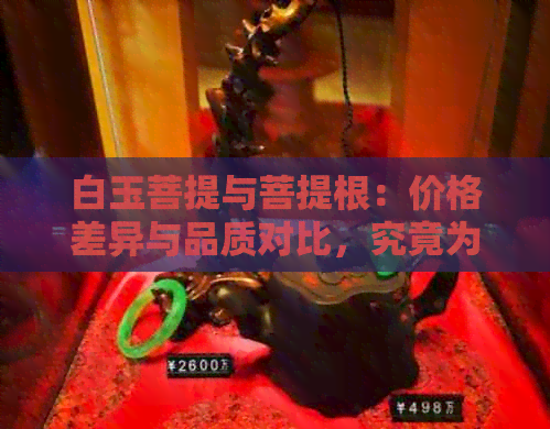 白玉菩提与菩提根：价格差异与品质对比，究竟为何白玉菩提更受欢迎？