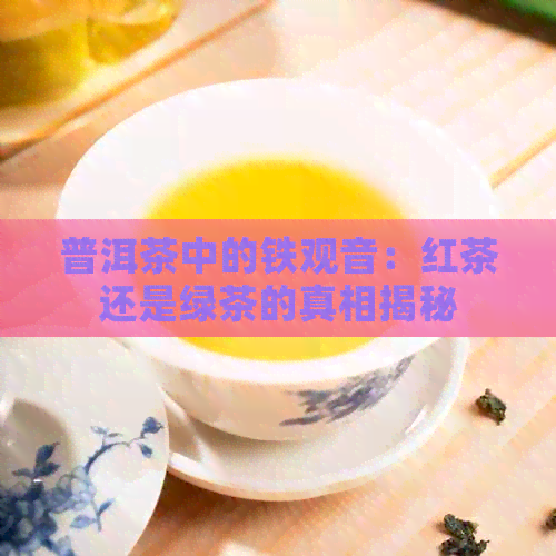 普洱茶中的铁观音：红茶还是绿茶的真相揭秘