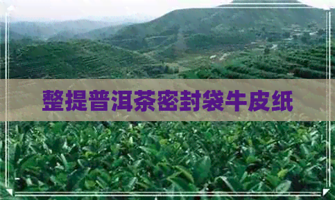 整提普洱茶密封袋牛皮纸