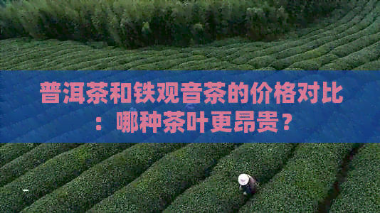 普洱茶和铁观音茶的价格对比：哪种茶叶更昂贵？