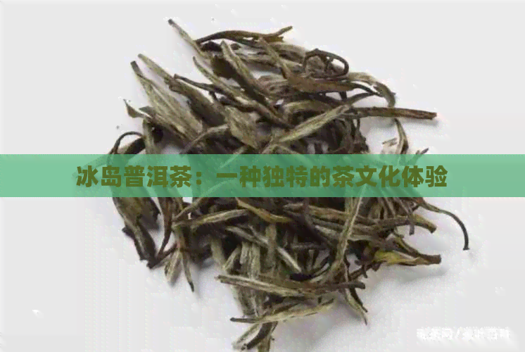 冰岛普洱茶：一种独特的茶文化体验