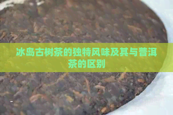 冰岛古树茶的独特风味及其与普洱茶的区别