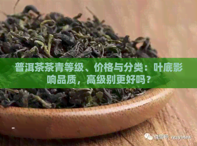 普洱茶茶青等级、价格与分类：叶底影响品质，高级别更好吗？