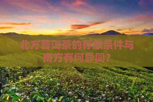 北方普洱茶的存放条件与南方有何异同？