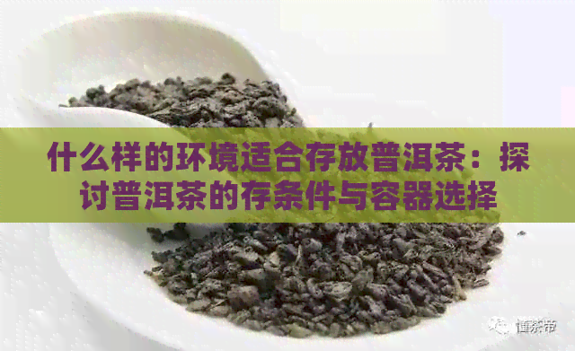 什么样的环境适合存放普洱茶：探讨普洱茶的存条件与容器选择