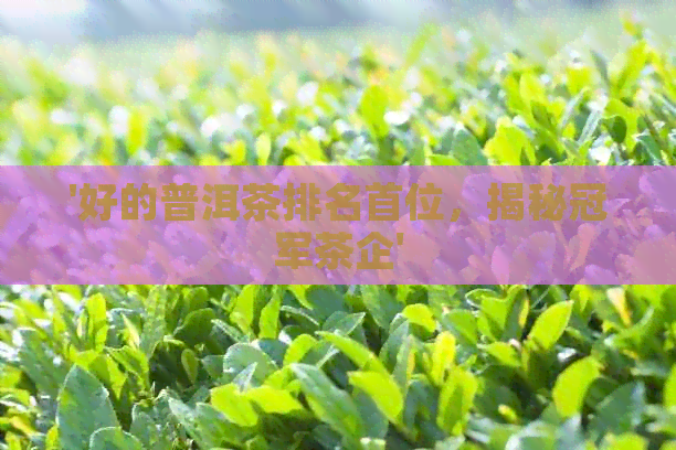 '好的普洱茶排名首位，揭秘冠军茶企'