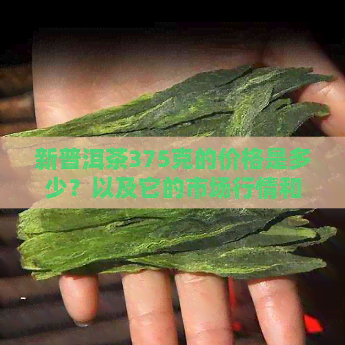 新普洱茶375克的价格是多少？以及它的市场行情和价值解析