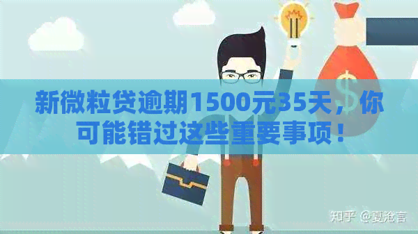 新微粒贷逾期1500元35天，你可能错过这些重要事项！