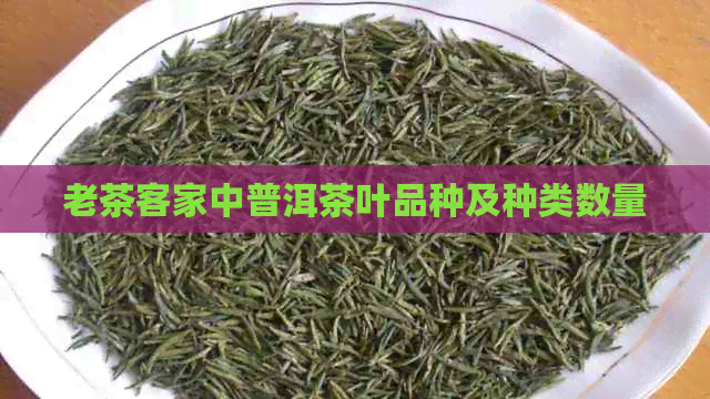 老茶客家中普洱茶叶品种及种类数量