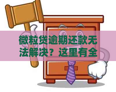 微粒贷逾期还款无法解决？这里有全面解决方案！