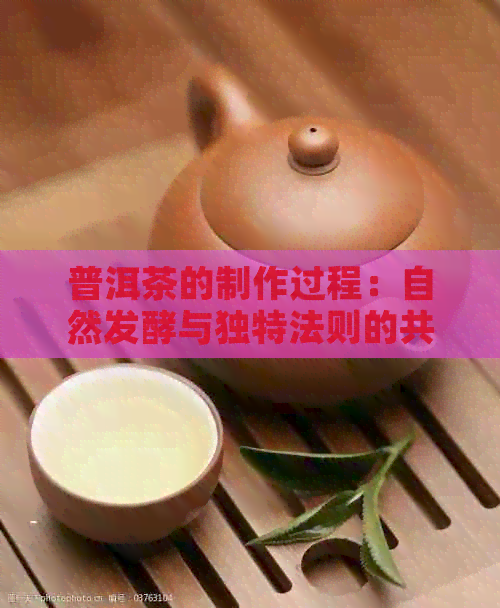 普洱茶的制作过程：自然发酵与独特法则的共舞