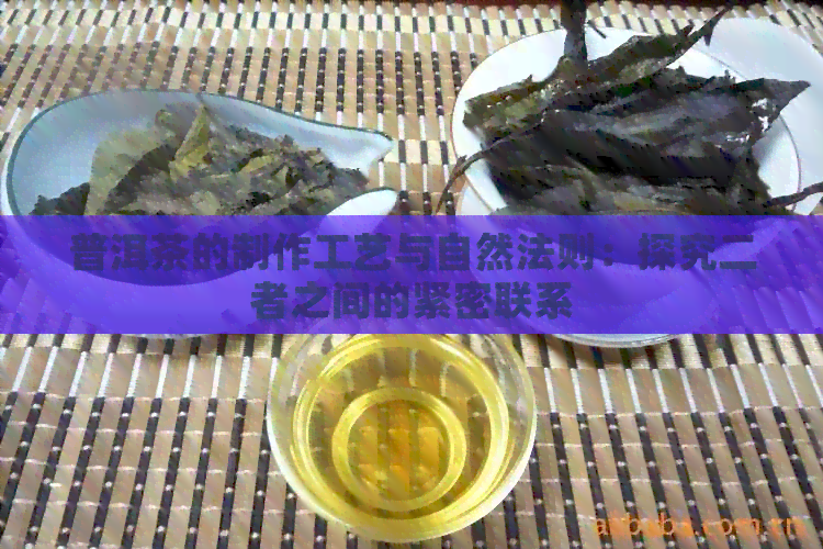 普洱茶的制作工艺与自然法则：探究二者之间的紧密联系