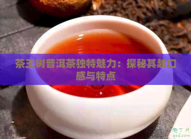 茶王树普洱茶独特魅力：探秘其越口感与特点