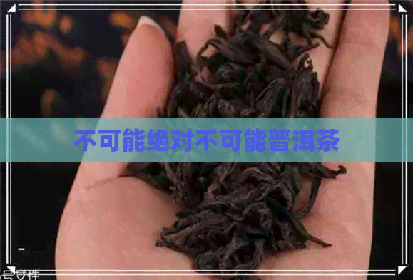 不可能绝对不可能普洱茶