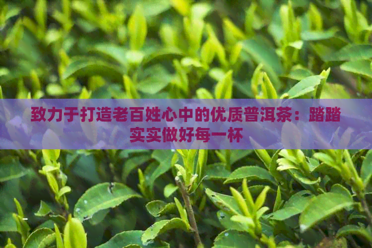 致力于打造老百姓心中的优质普洱茶：踏踏实实做好每一杯