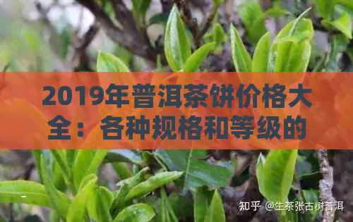 2019年普洱茶饼价格大全：各种规格和等级的价格一览