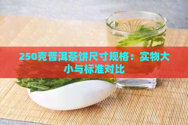 250克普洱茶饼尺寸规格：实物大小与标准对比