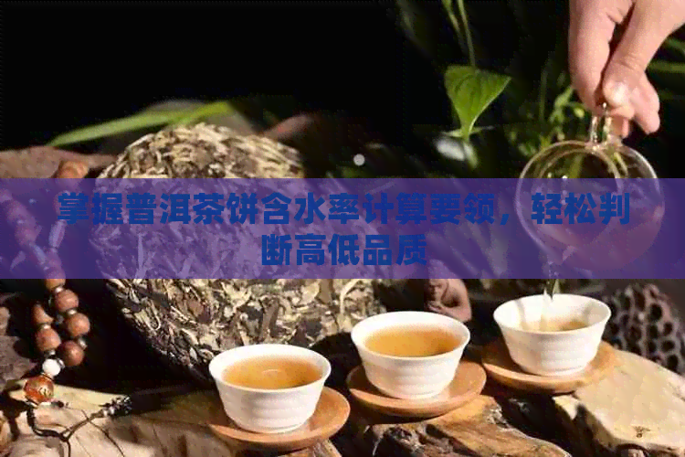 掌握普洱茶饼含水率计算要领，轻松判断高低品质