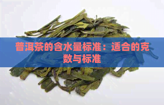 普洱茶的含水量标准：适合的克数与标准