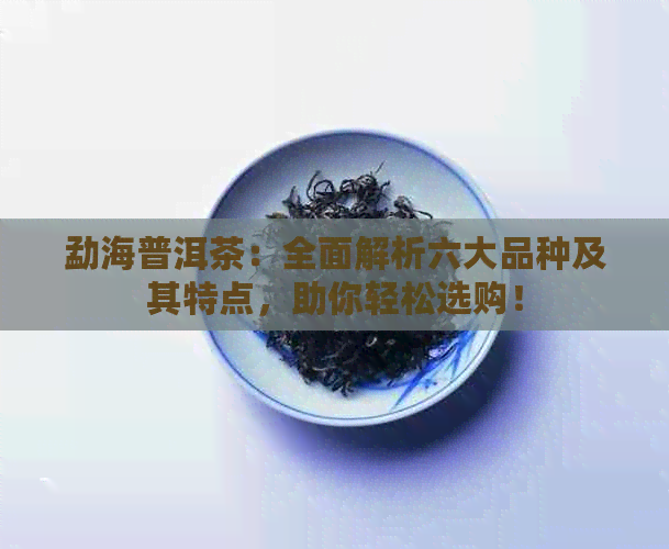 勐海普洱茶：全面解析六大品种及其特点，助你轻松选购！