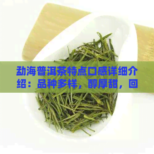 勐海普洱茶特点口感详细介绍：品种多样，醇厚甜，回味悠长