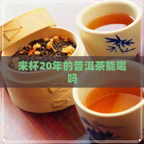 来杯20年的普洱茶能喝吗