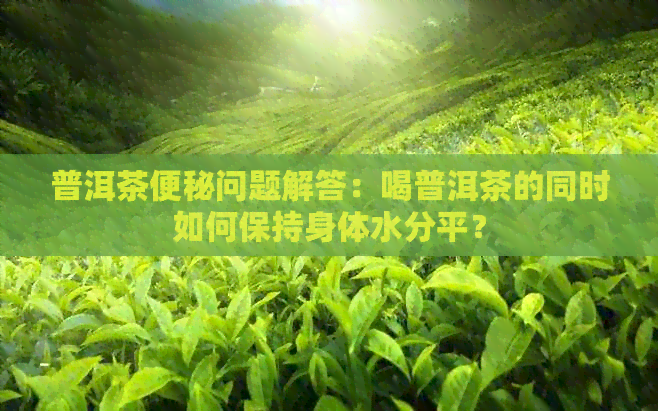 普洱茶便秘问题解答：喝普洱茶的同时如何保持身体水分平？