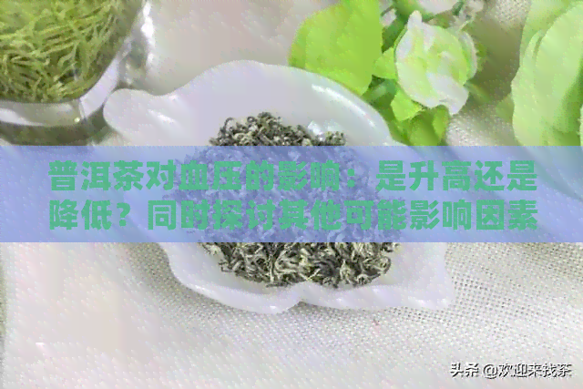 普洱茶对血压的影响：是升高还是降低？同时探讨其他可能影响因素和预防措