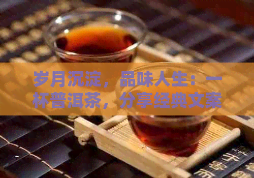 岁月沉淀，品味人生：一杯普洱茶，分享经典文案与生活感悟