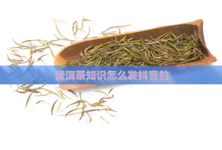 普洱茶知识怎么发抖音的